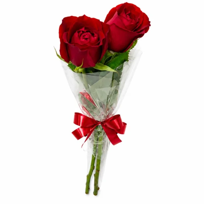 Buquê de 2 Rosas Vermelhas