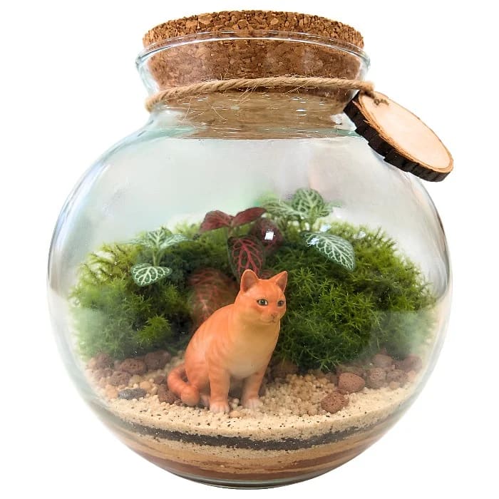 Terrário Natural em Vidro com Miniatura de Gato Laranja