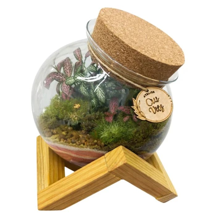 Terrário em Vidro 16,5cm (dezesseis vírgula cinco centímetros) com Suporte de Madeira