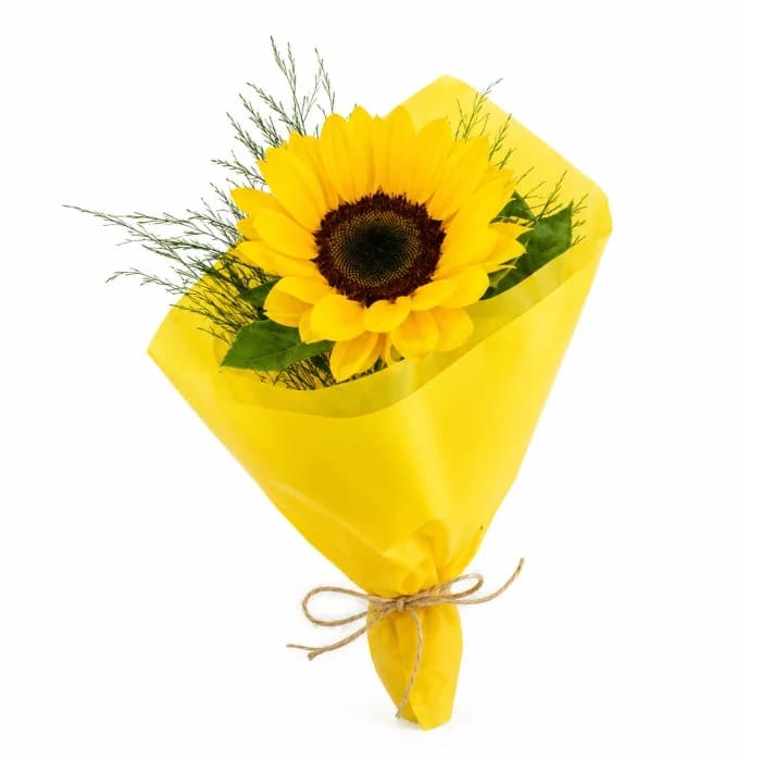 Buquê de 1 Girassol para Presente – Mimo de Sol