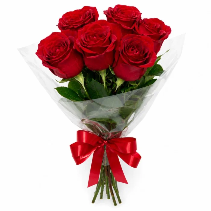 Buquê de 6 Rosas Vermelhas – Beleza Natural