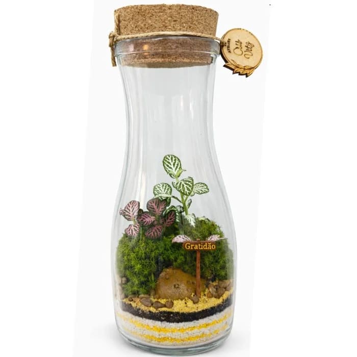 Terrário Gratidão em Vidro Decorativo 19,5cm (dezenove vírgula cinco centímetros)