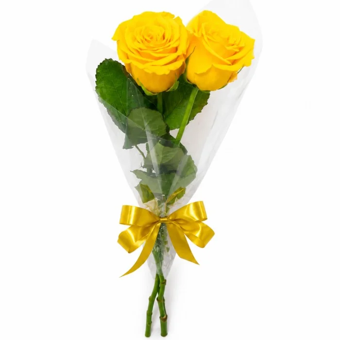 Buquê de 2 Rosas Amarelas