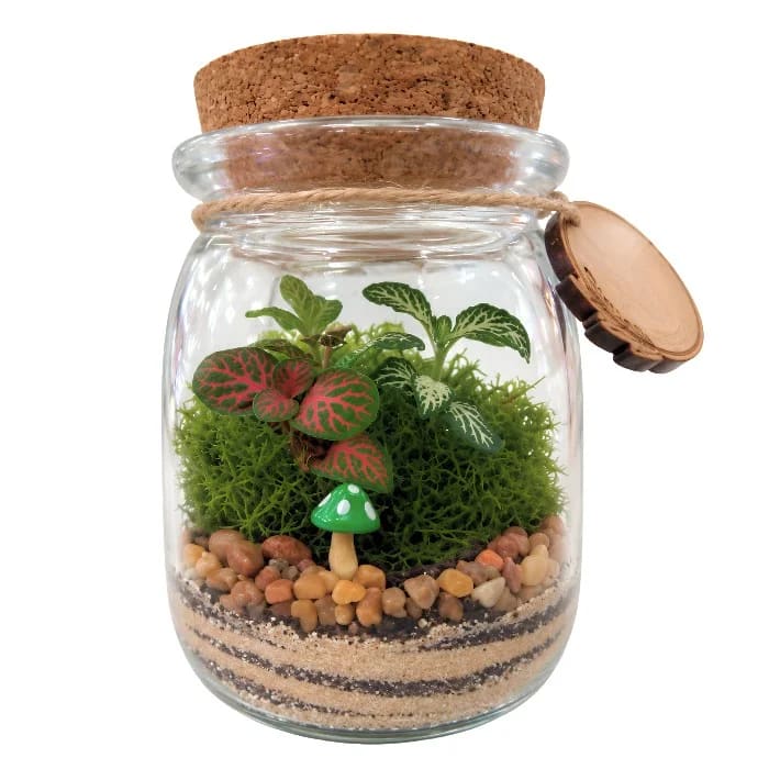 Terrário Natural em Vidro com Cogumelo Verde Decorativo
