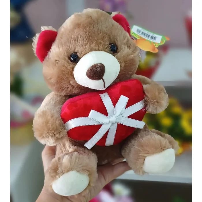 Urso Marrom com um Coração de Presente 20 cm de Pelúcia