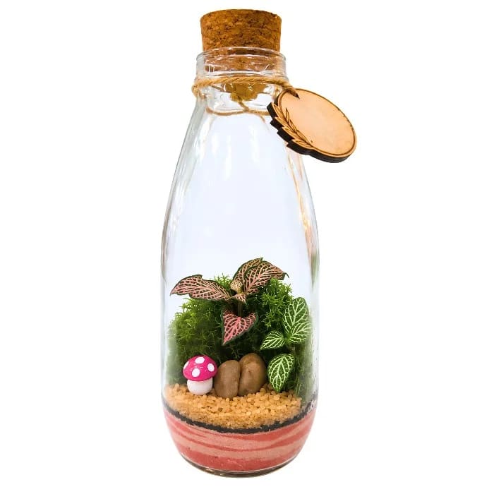 Terrário Natural em Vidro com Cogumelo Rosa Decorativo