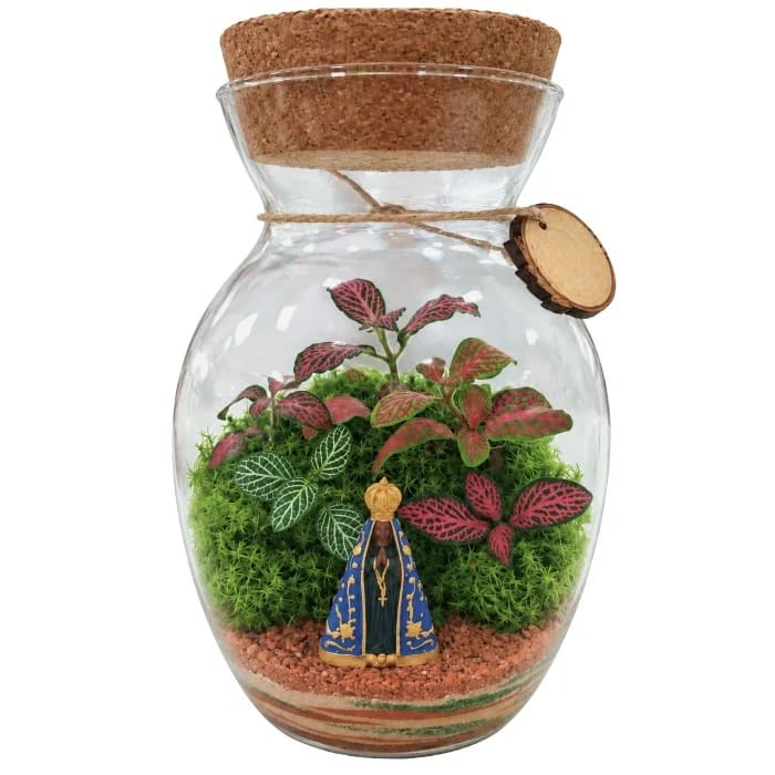 Terrário de Plantas Naturais com Miniatura Religiosa de Nossa Senhora Aparecida