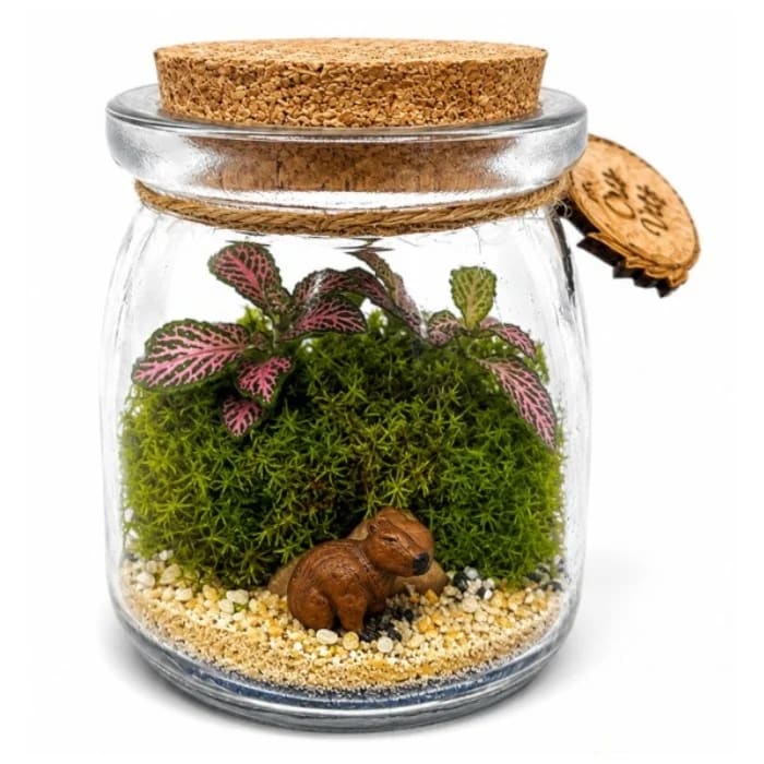 Terrário de Capivara no Pote de Vidro 8 cm (oito centímetros) de Altura x 6 cm (seis centímetros) de Largura com Plantas Naturais